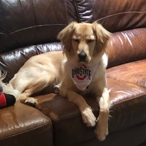 Meet your Posher, Jen